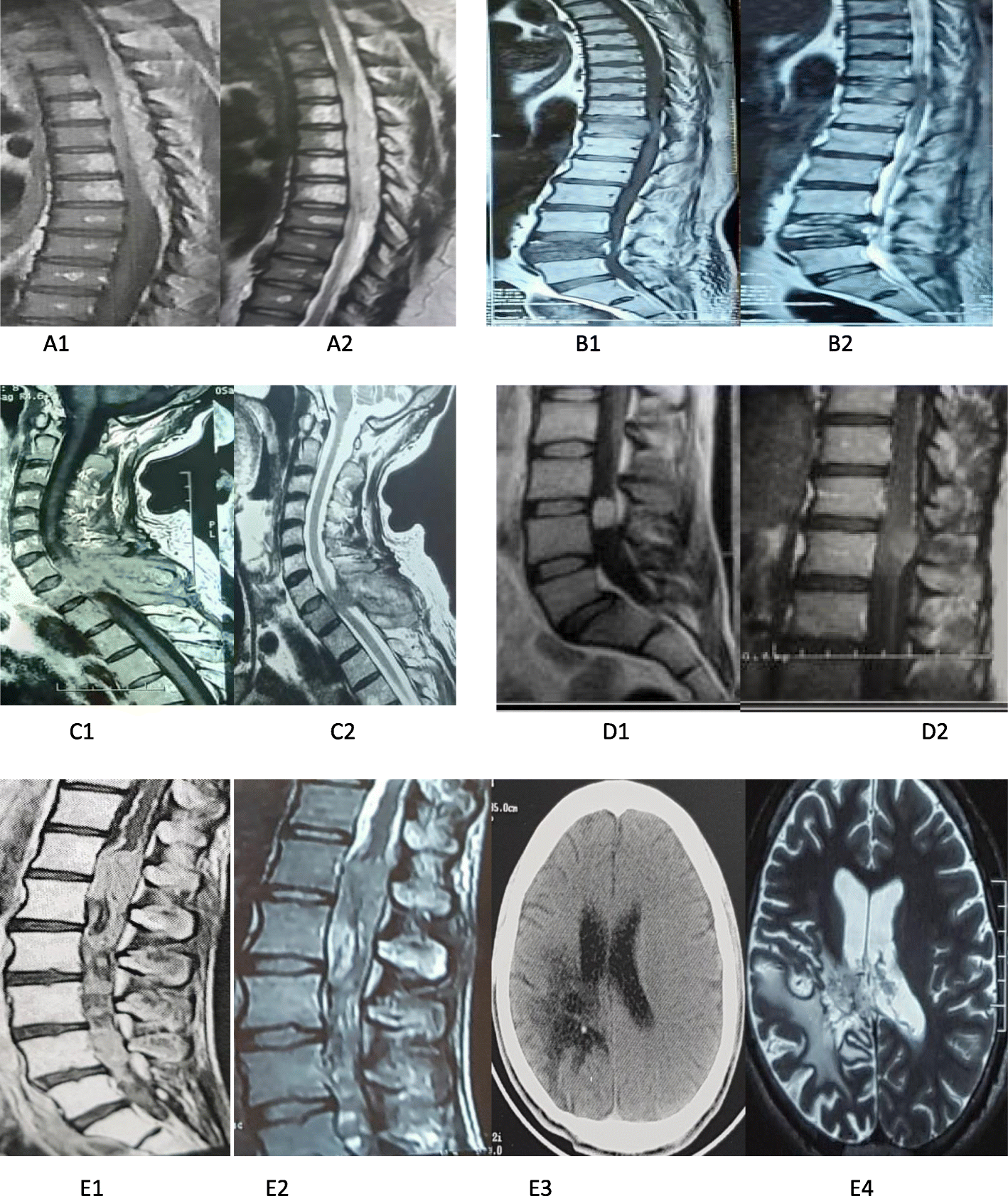 Fig. 1