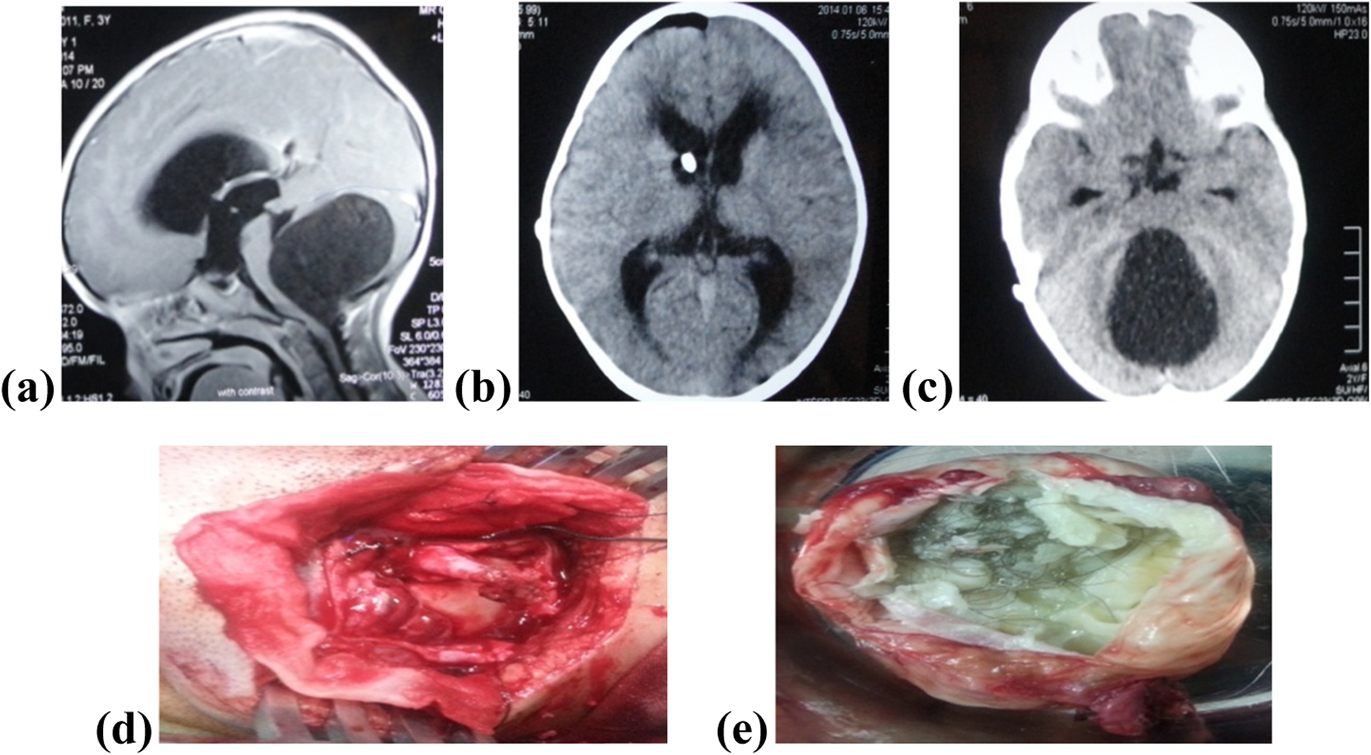 Fig. 5