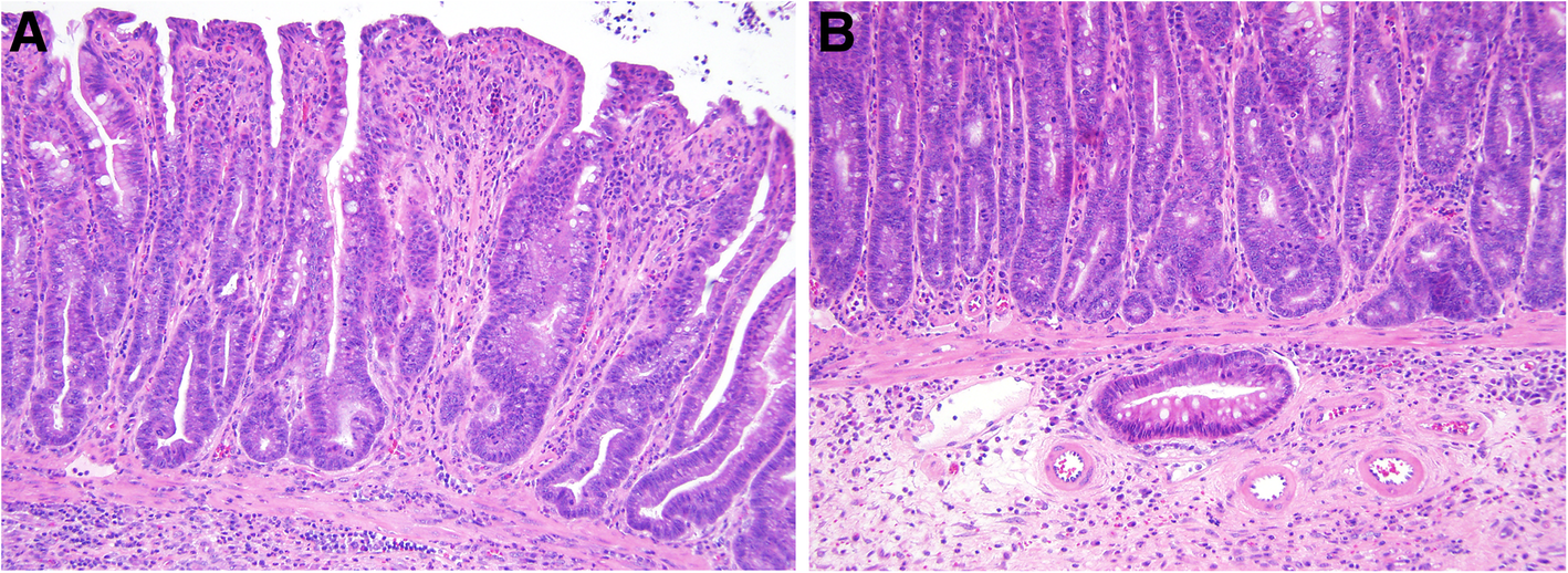 Fig. 8