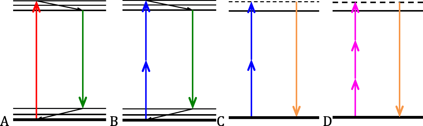 Fig. 1