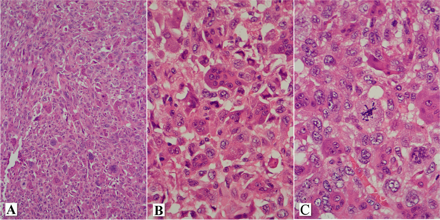 Fig. 2