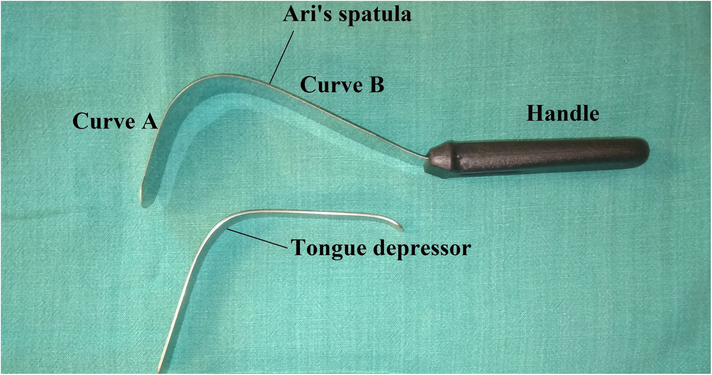 Fig. 1