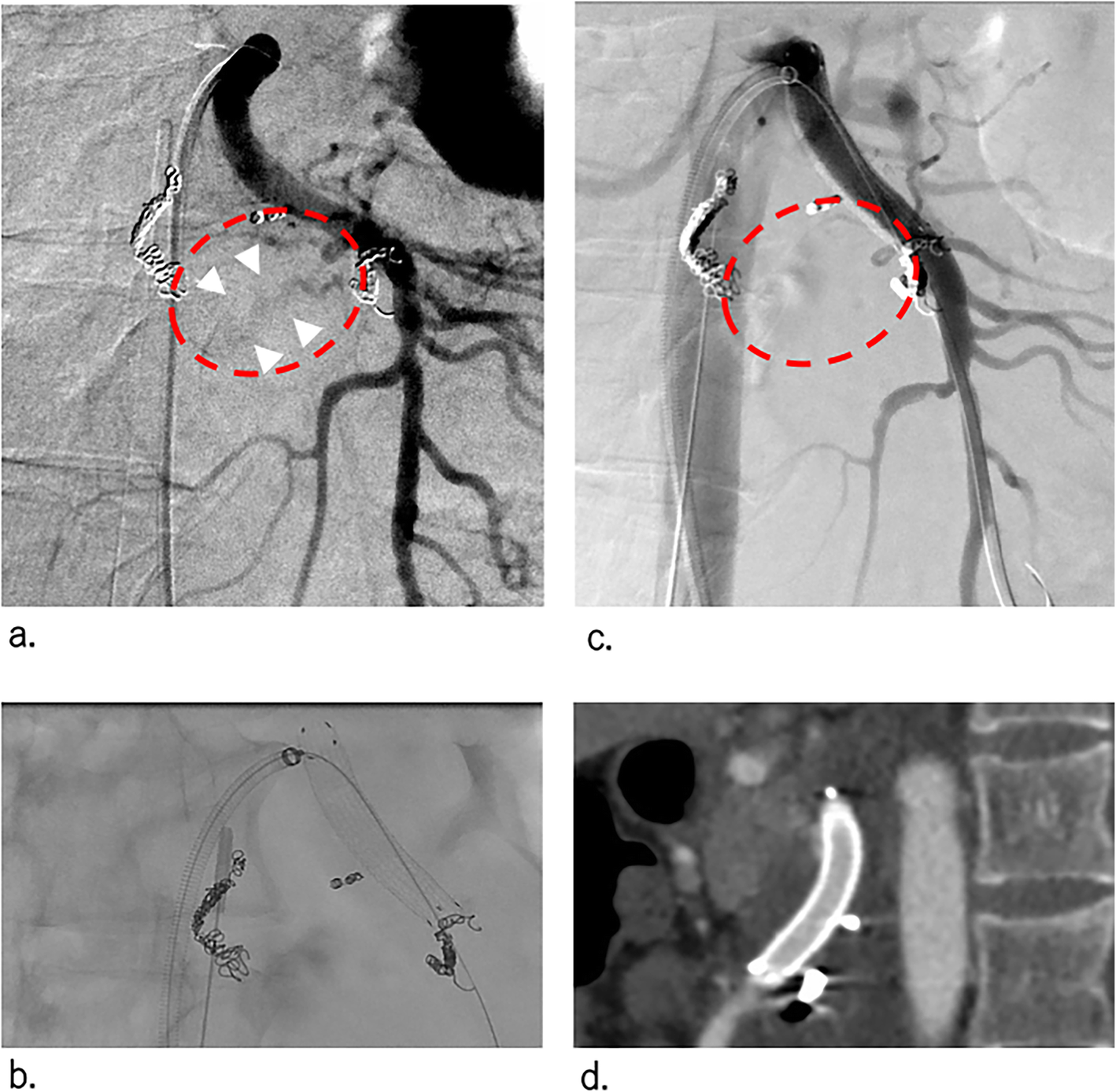 Fig. 4