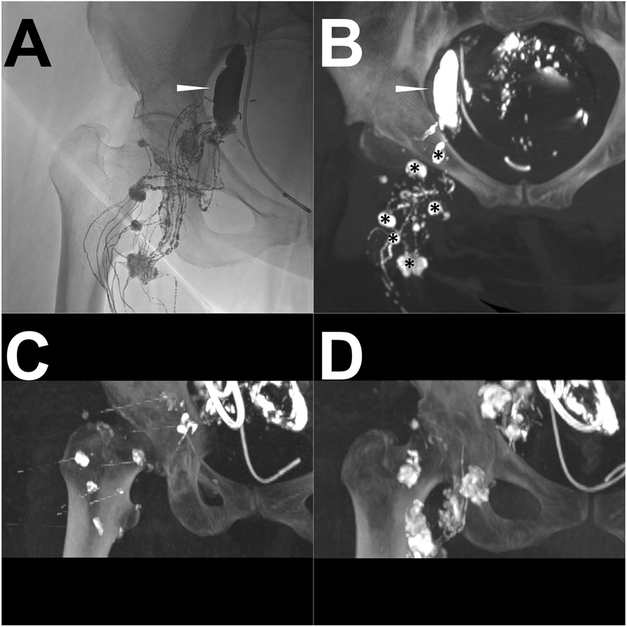 Fig. 8