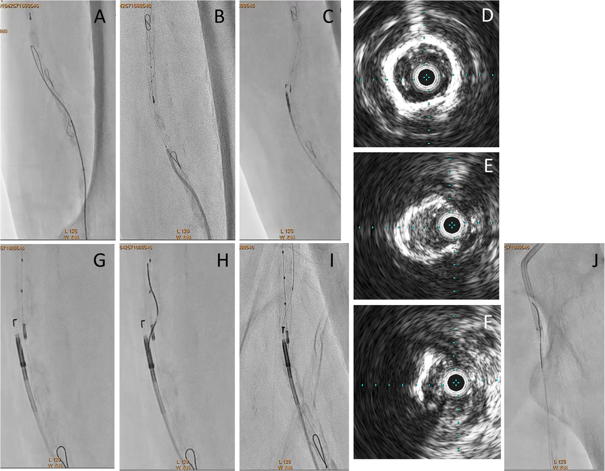 Fig. 3