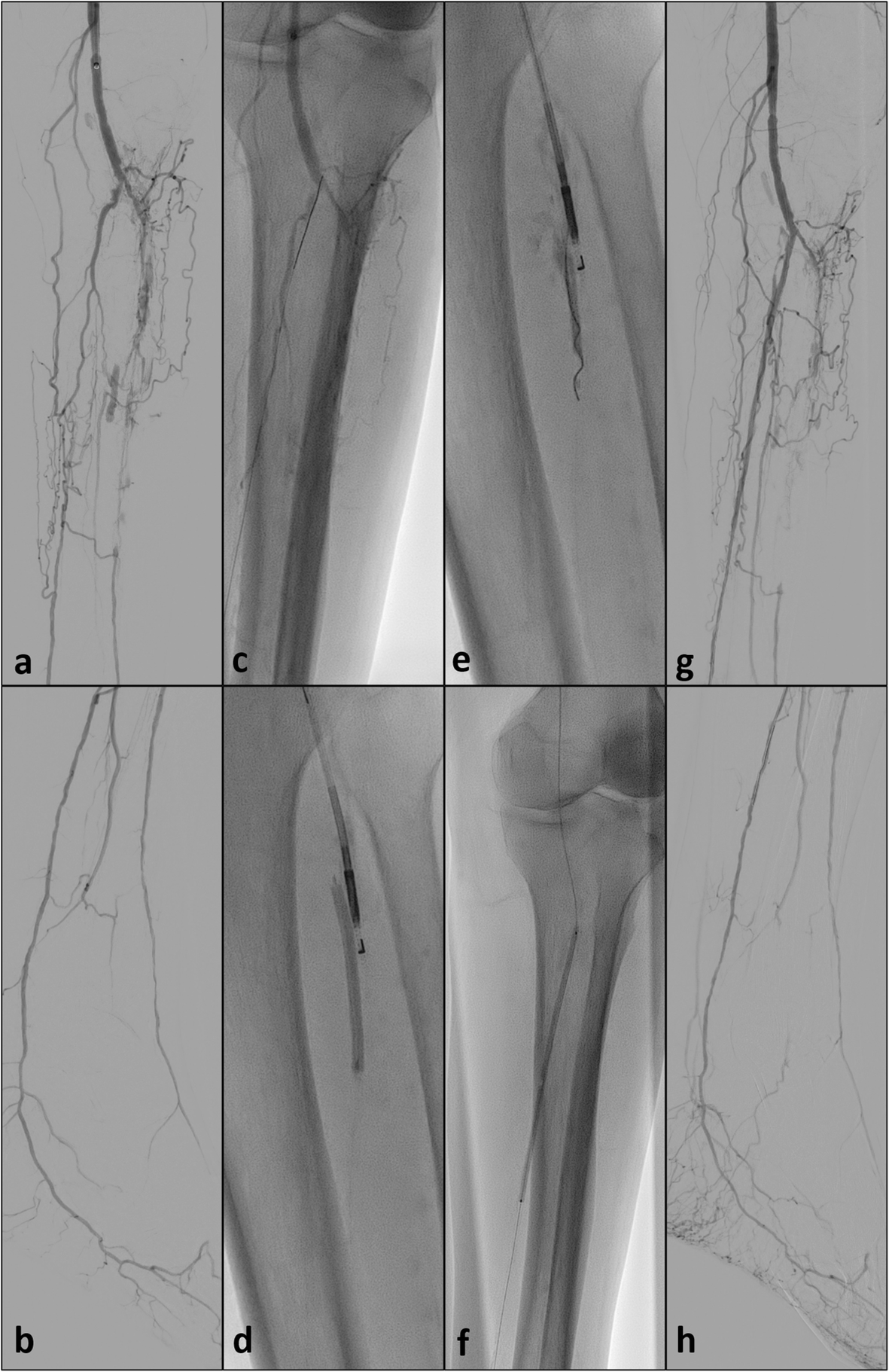 Fig. 5