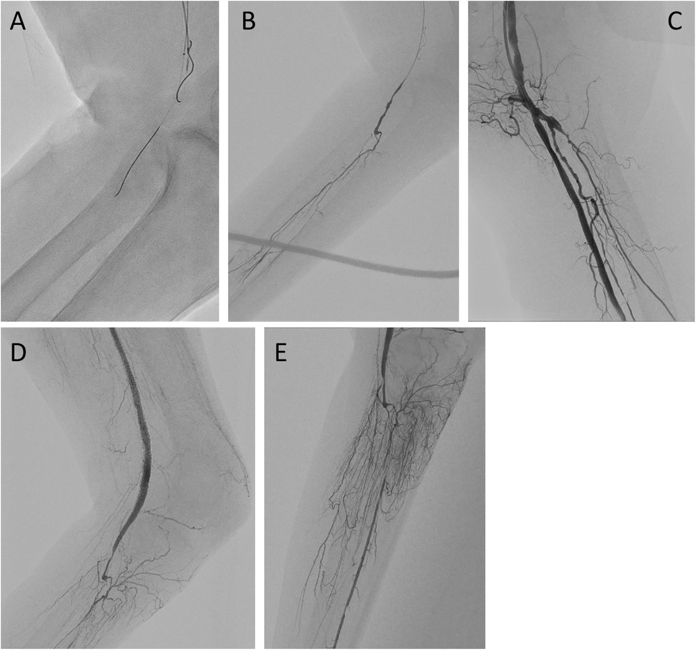 Fig. 4