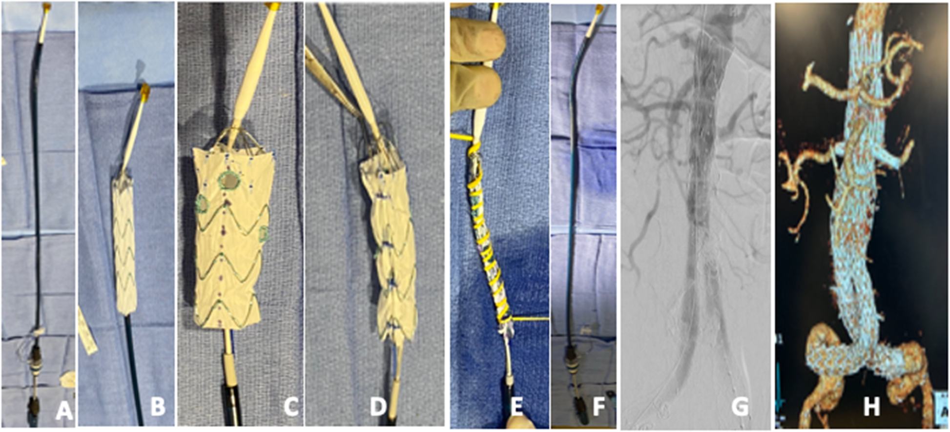 Fig. 4