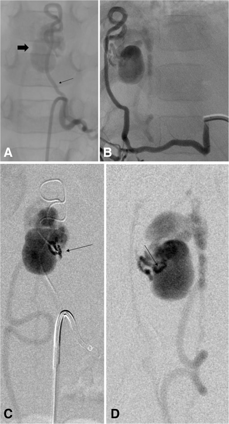 Fig. 2