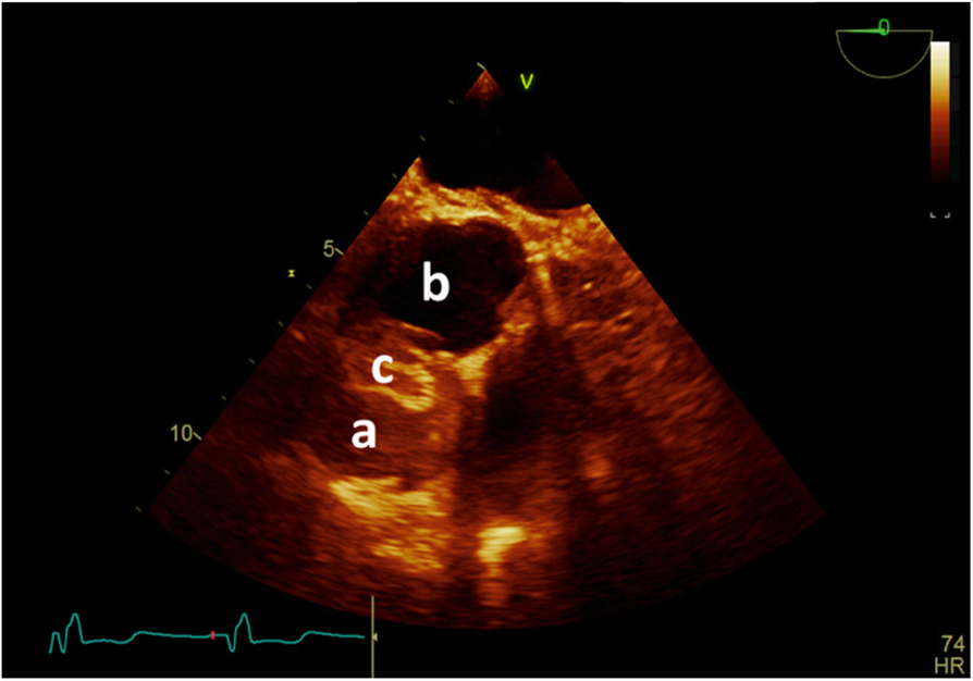 Fig. 6