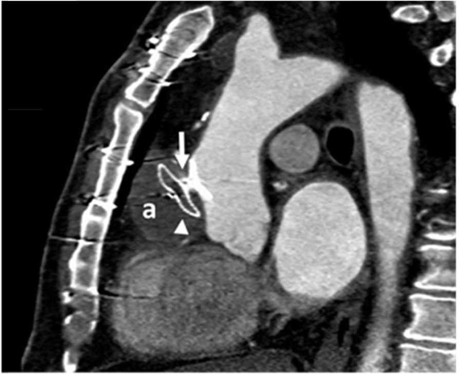 Fig. 8