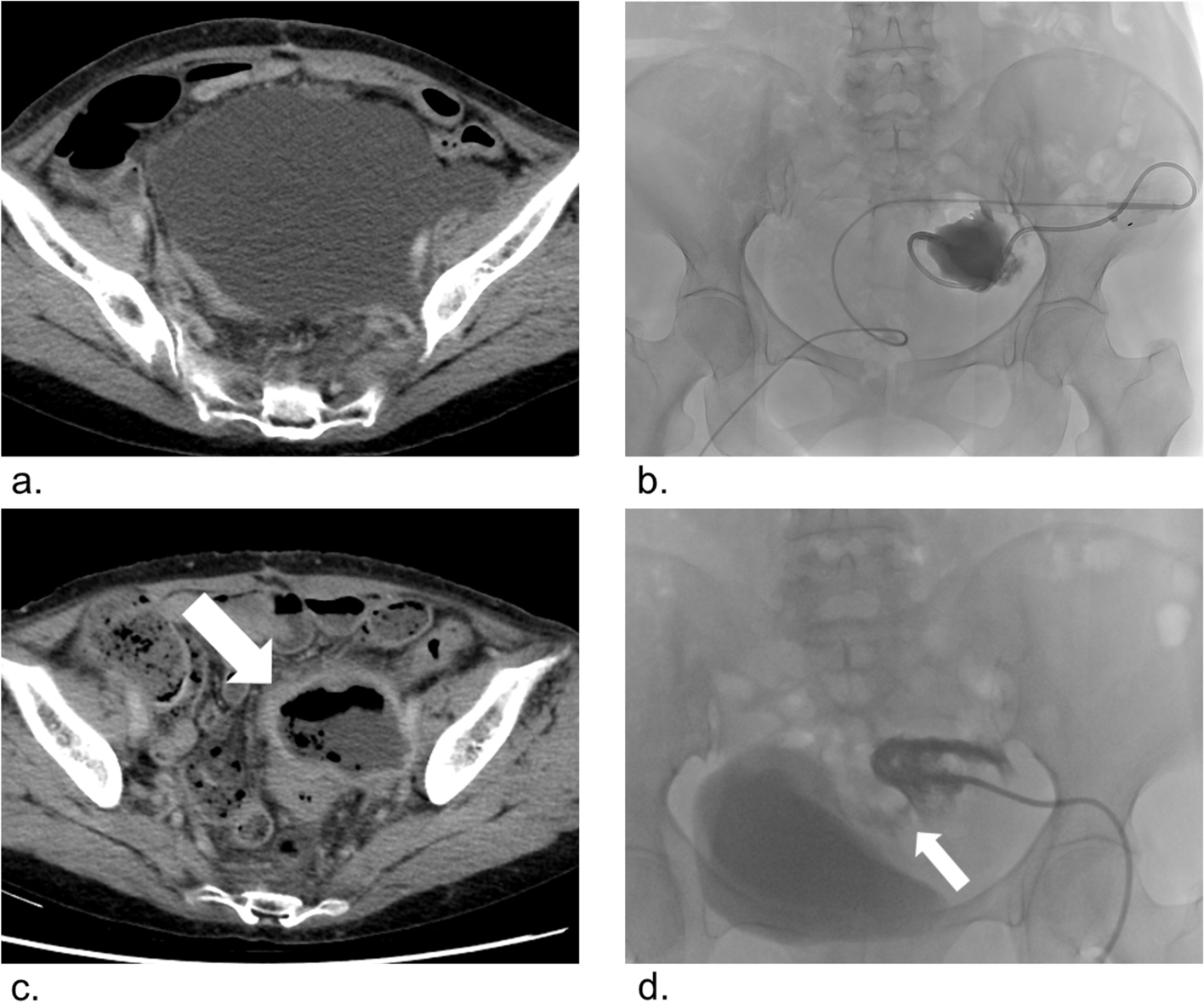 Fig. 3