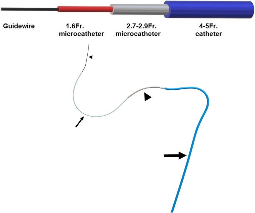 Fig. 2