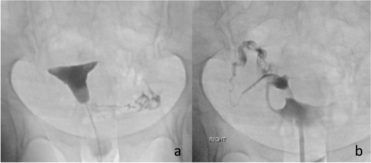 Fig. 7