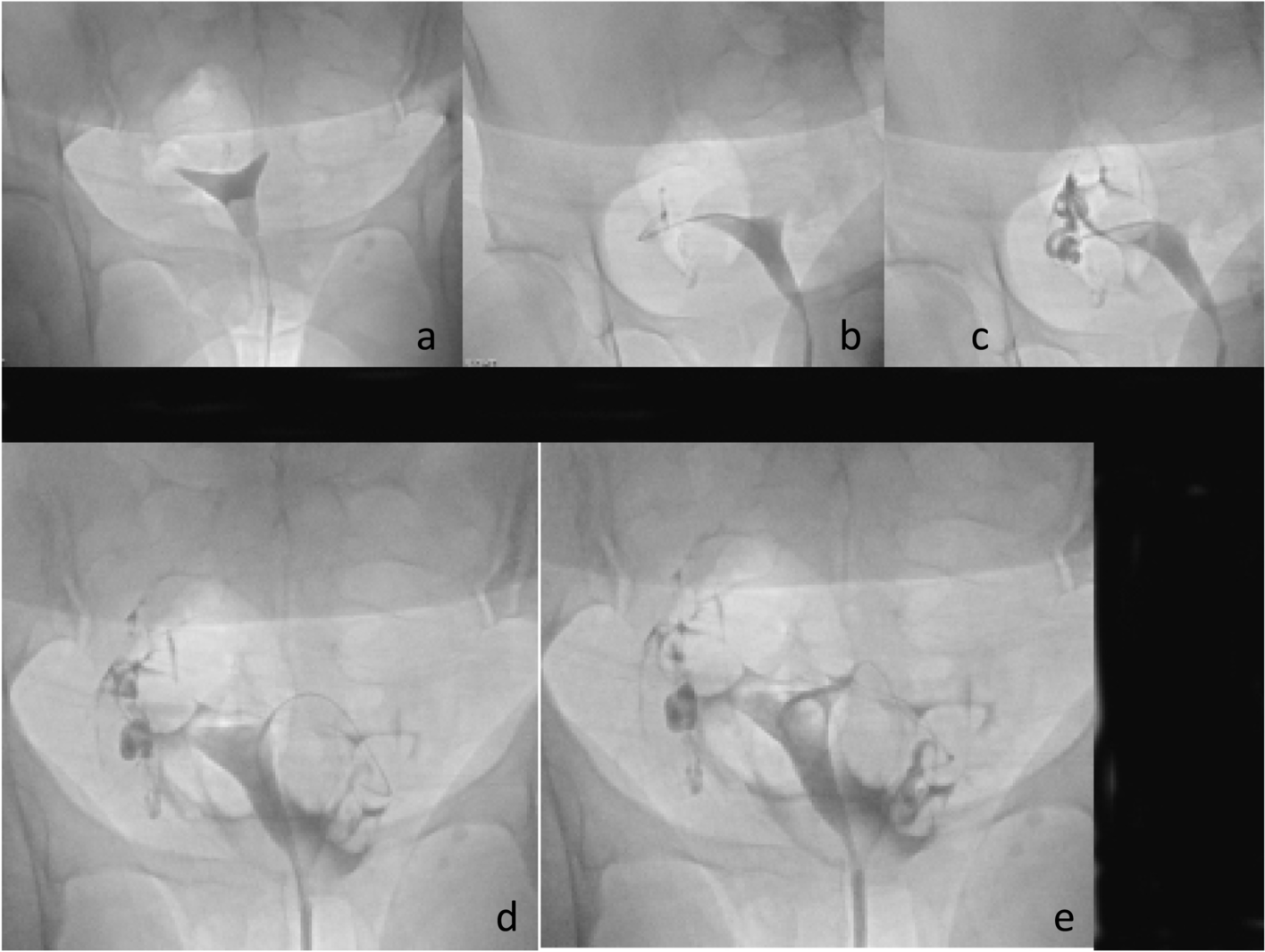 Fig. 8