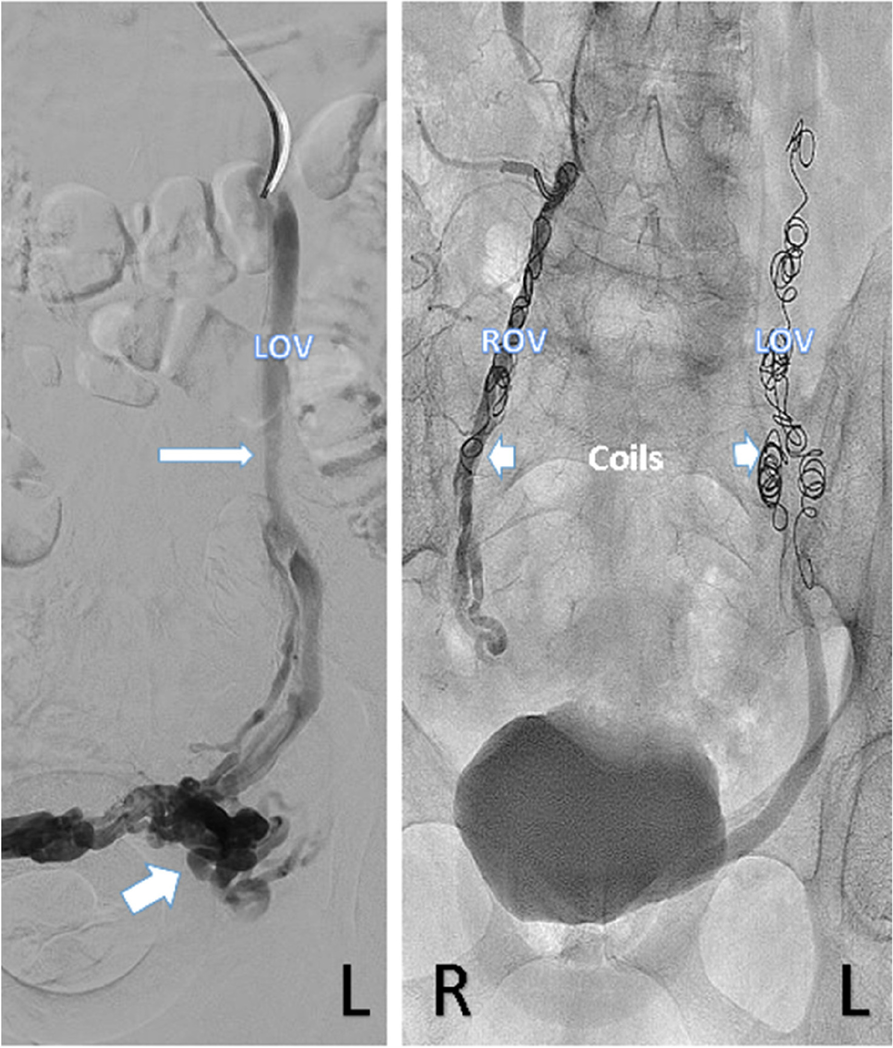 Fig. 5