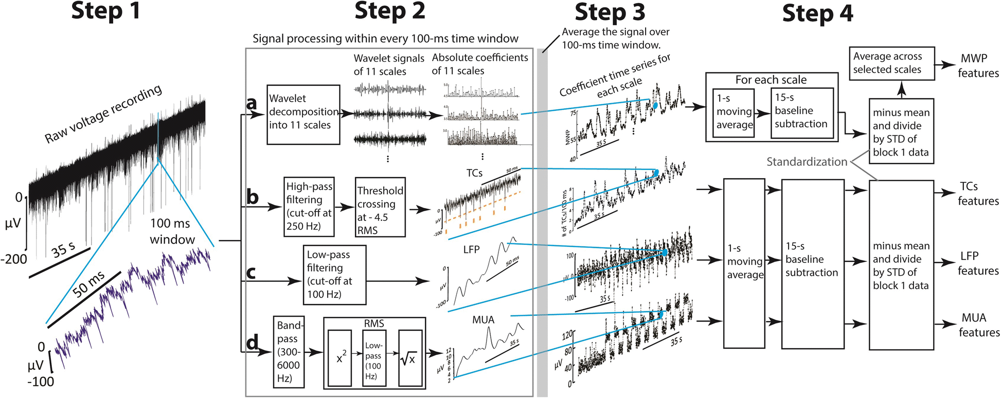 Fig. 2