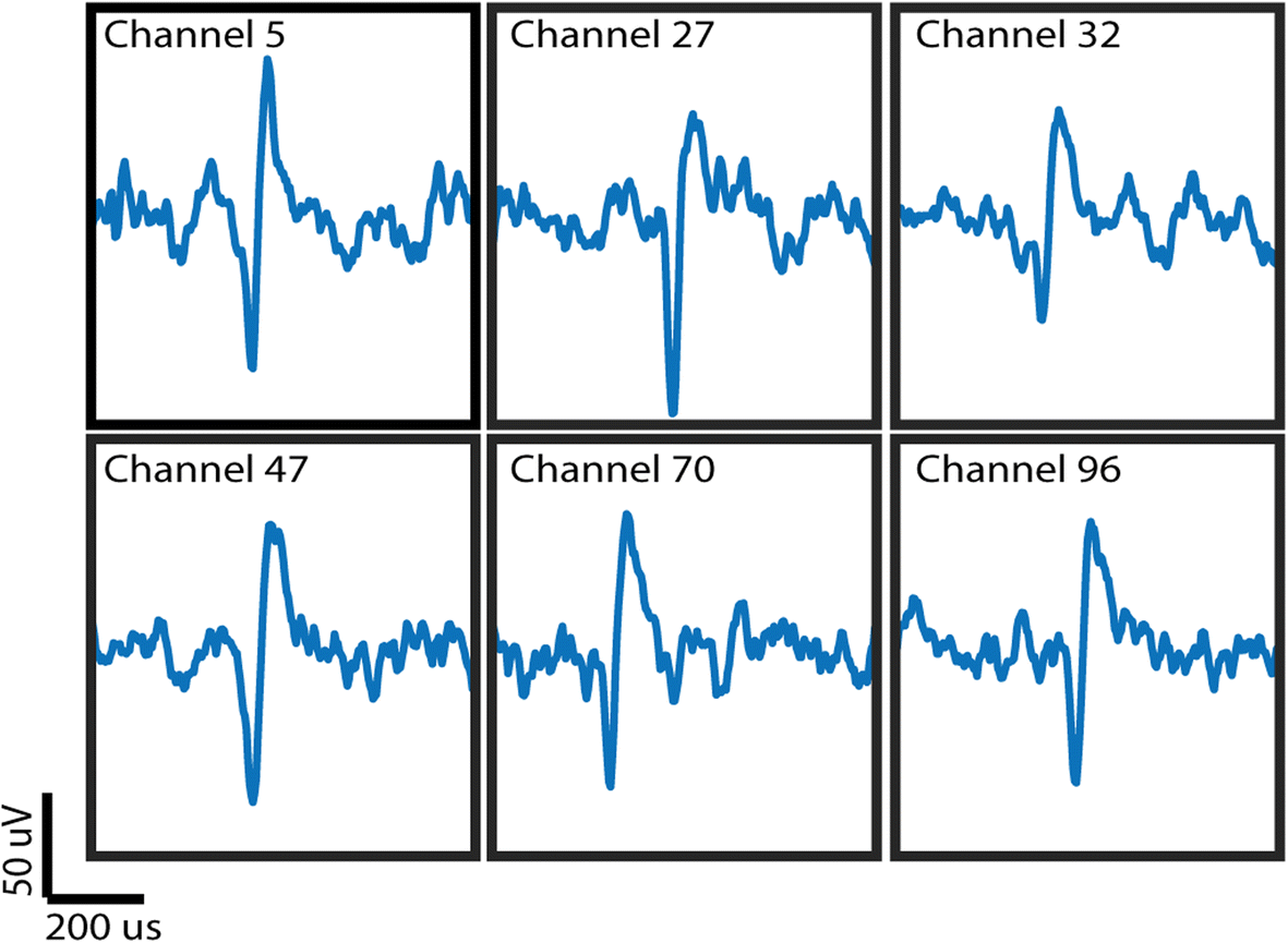 Fig. 8