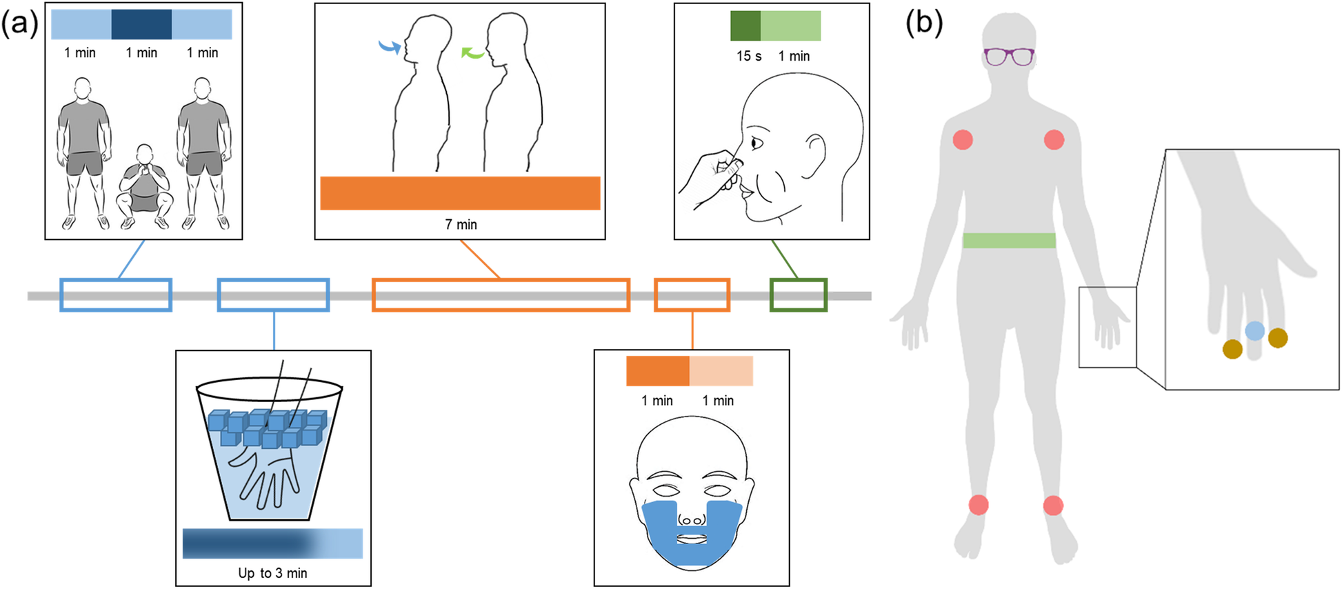 Fig. 1