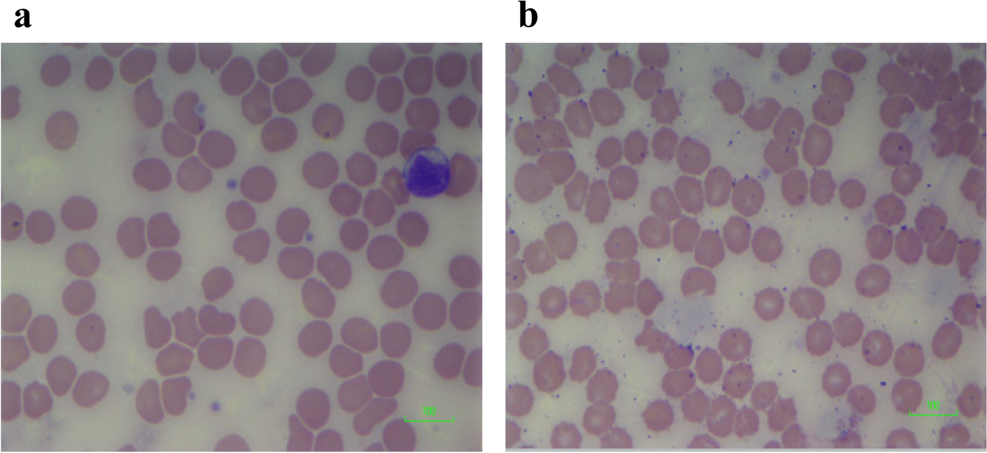 Fig. 7