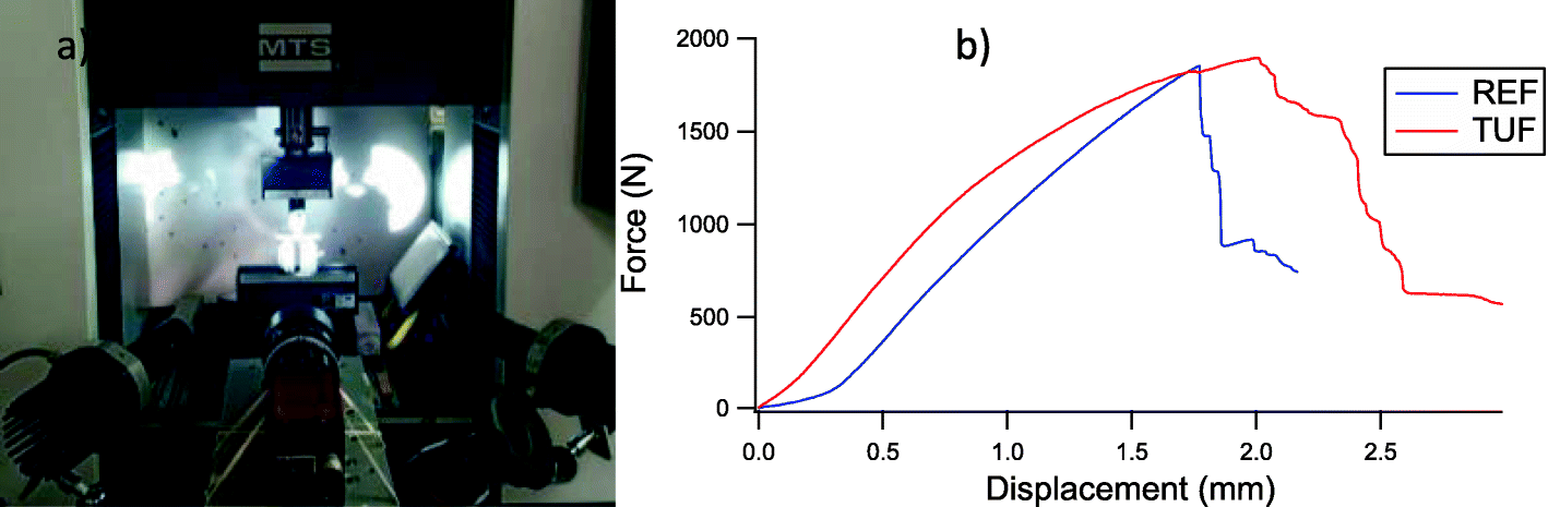 Fig. 6