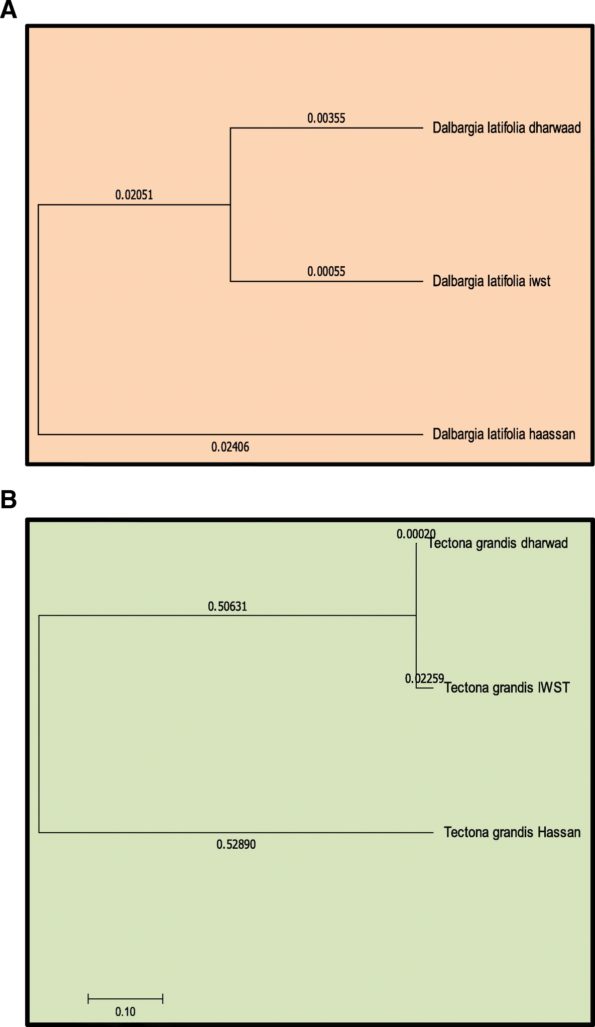 Fig. 12