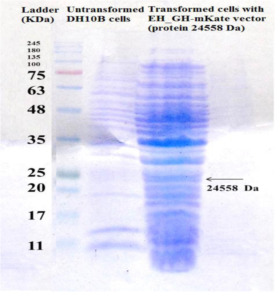 Fig. 6