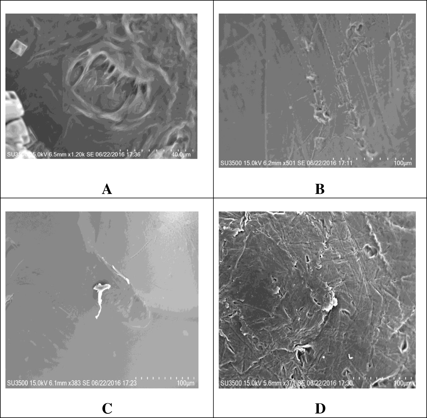 Fig. 13