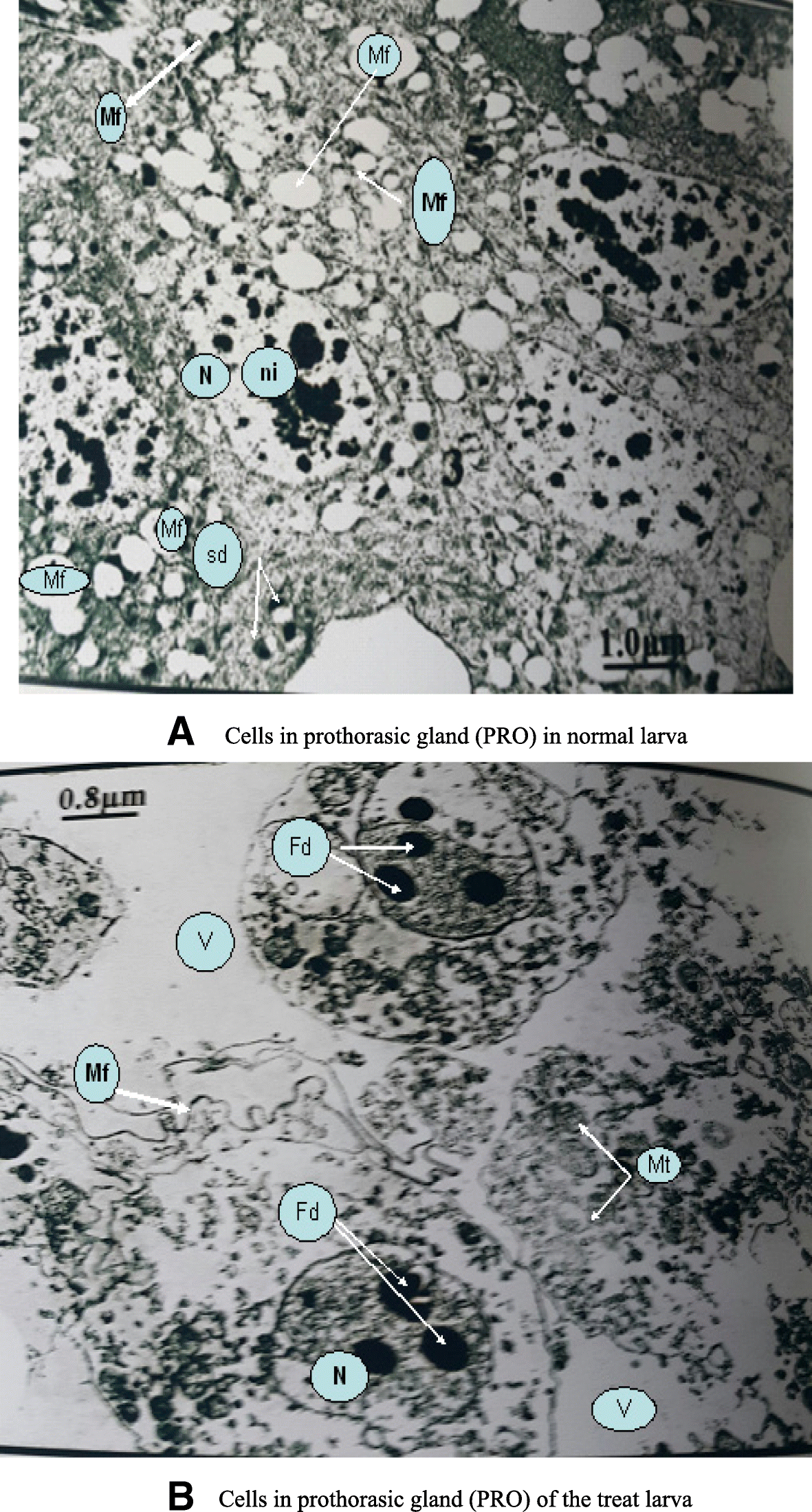 Fig. 9