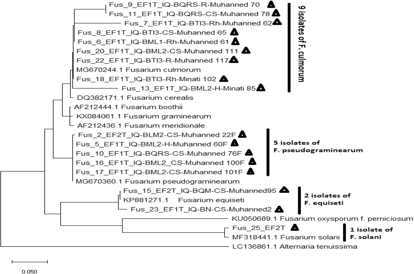 Fig. 13