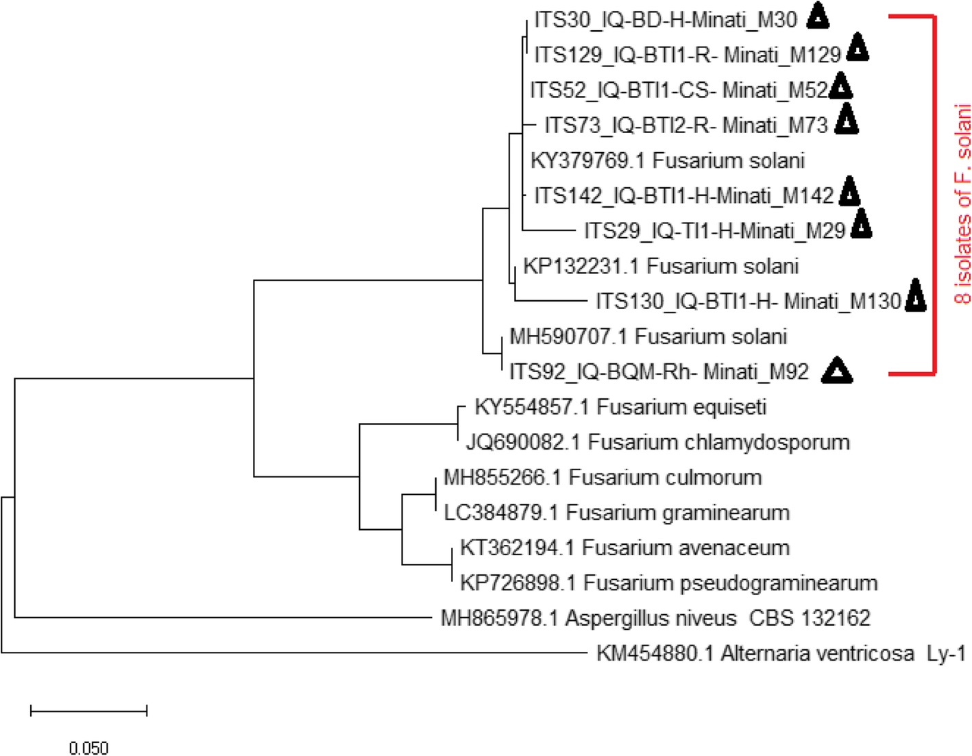 Fig. 9