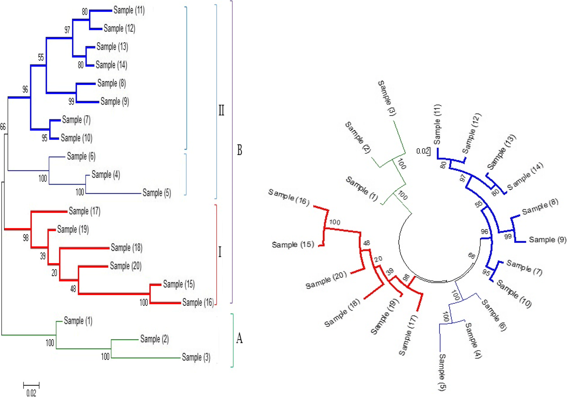 Fig. 3