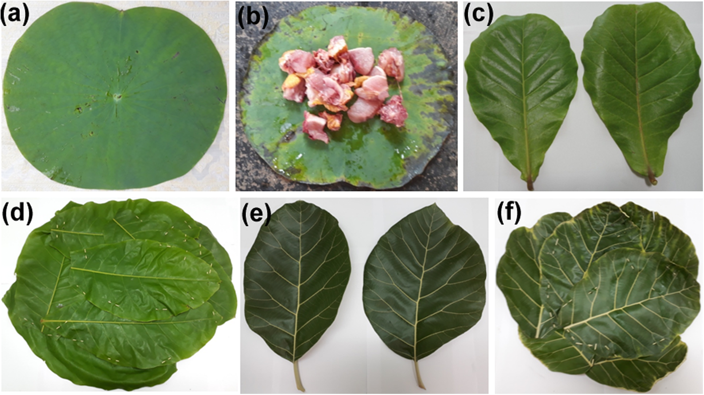 Fig. 4