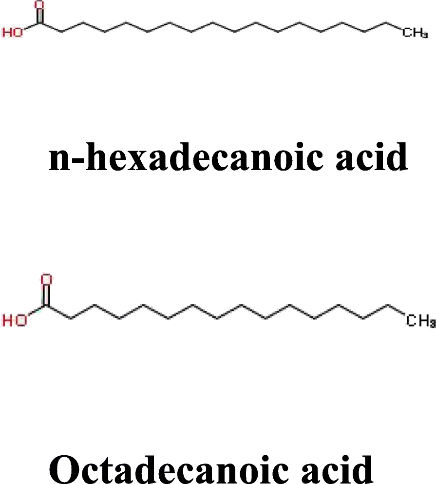 Fig. 5