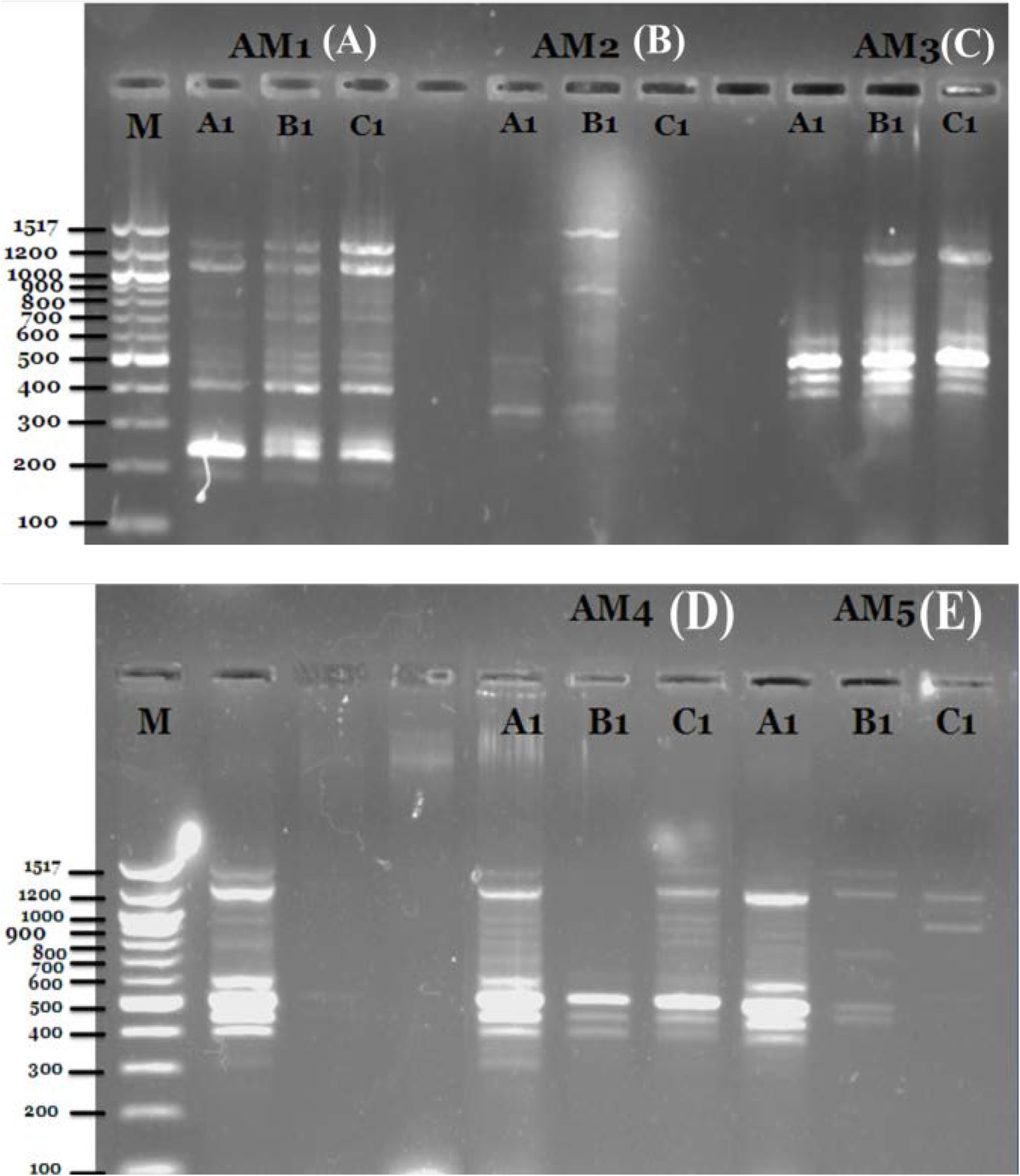 Fig. 5