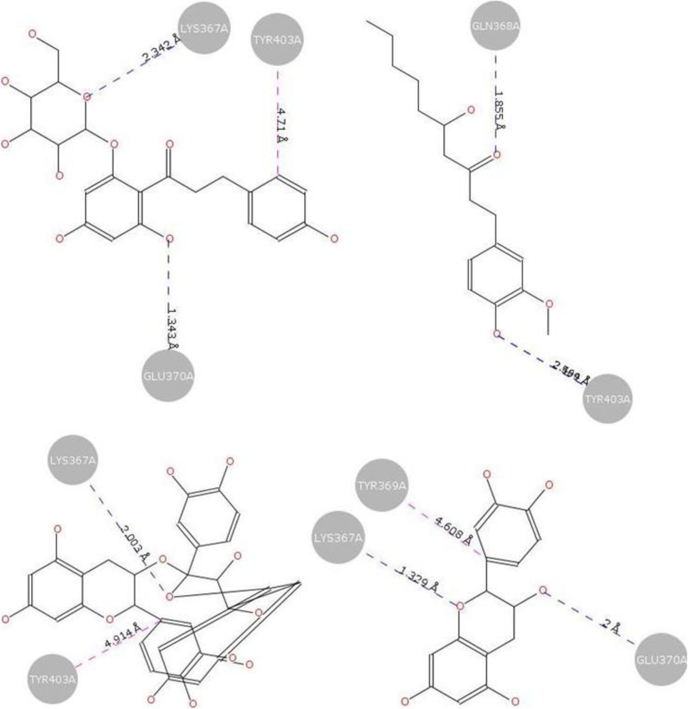 Fig. 7