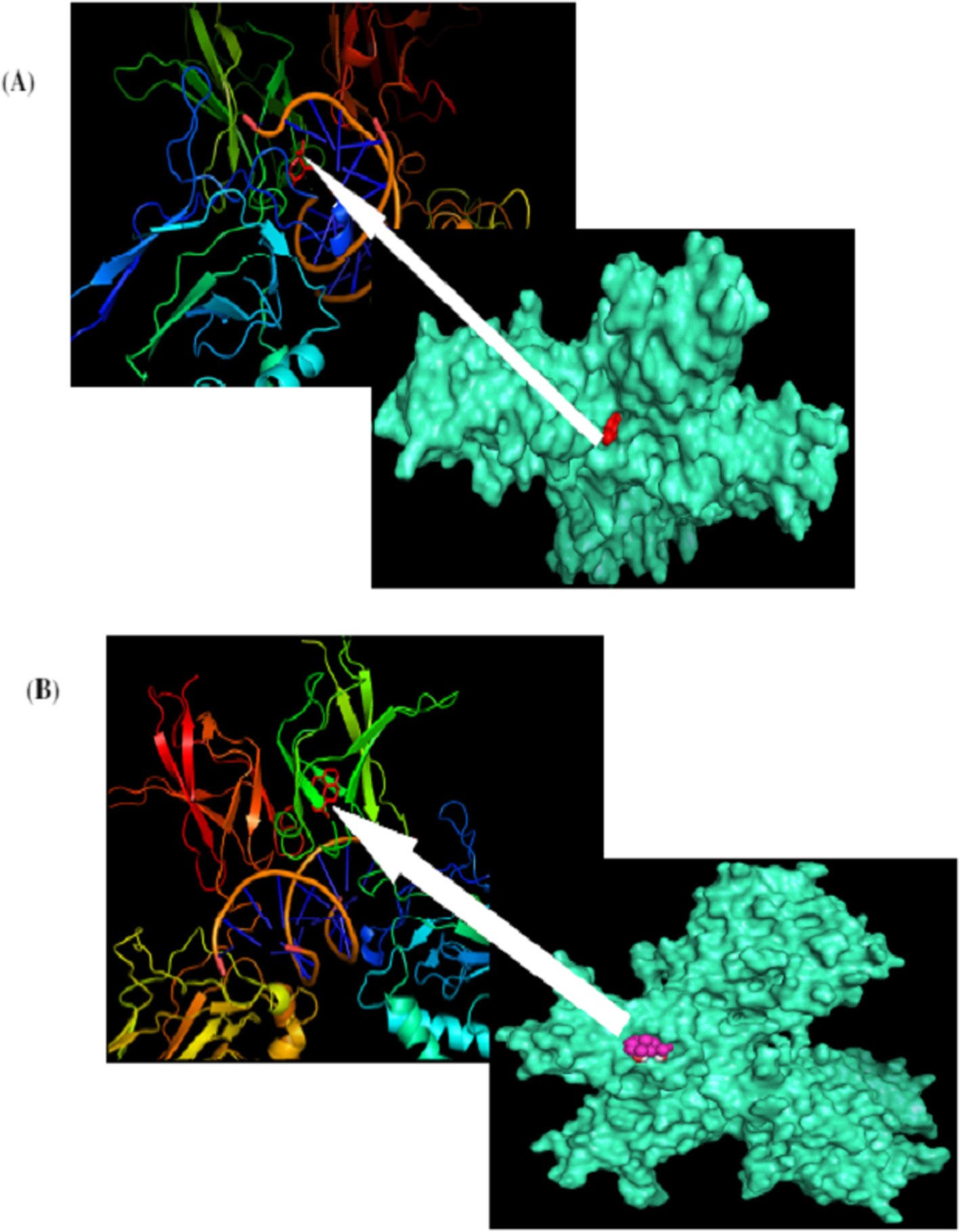 Fig. 8