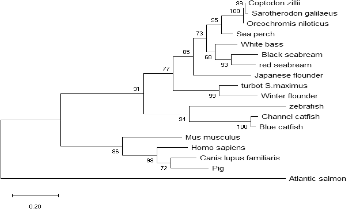 Fig. 9