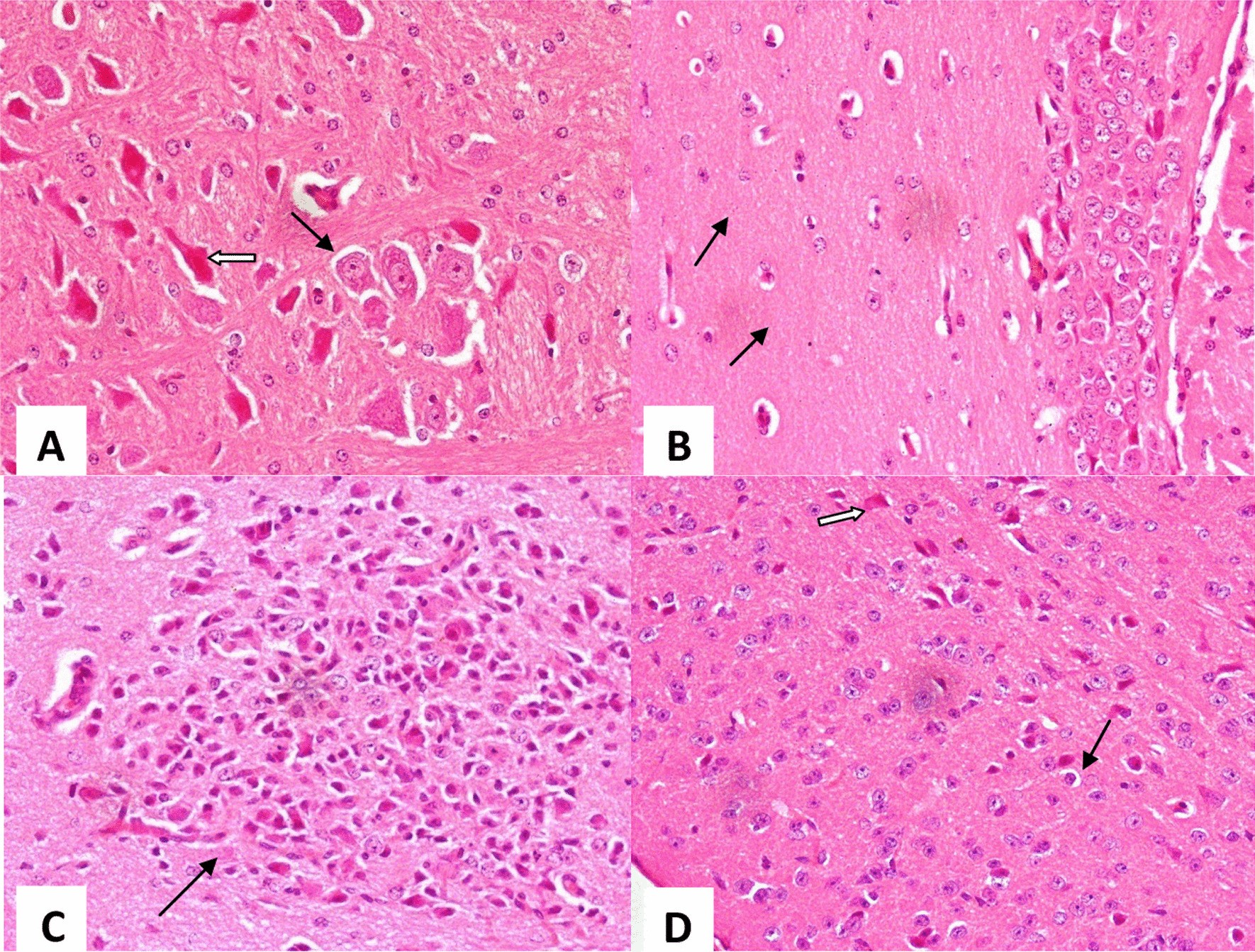 Fig. 7