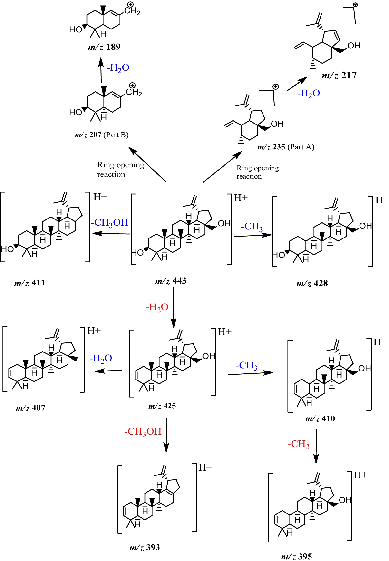 Fig. 10