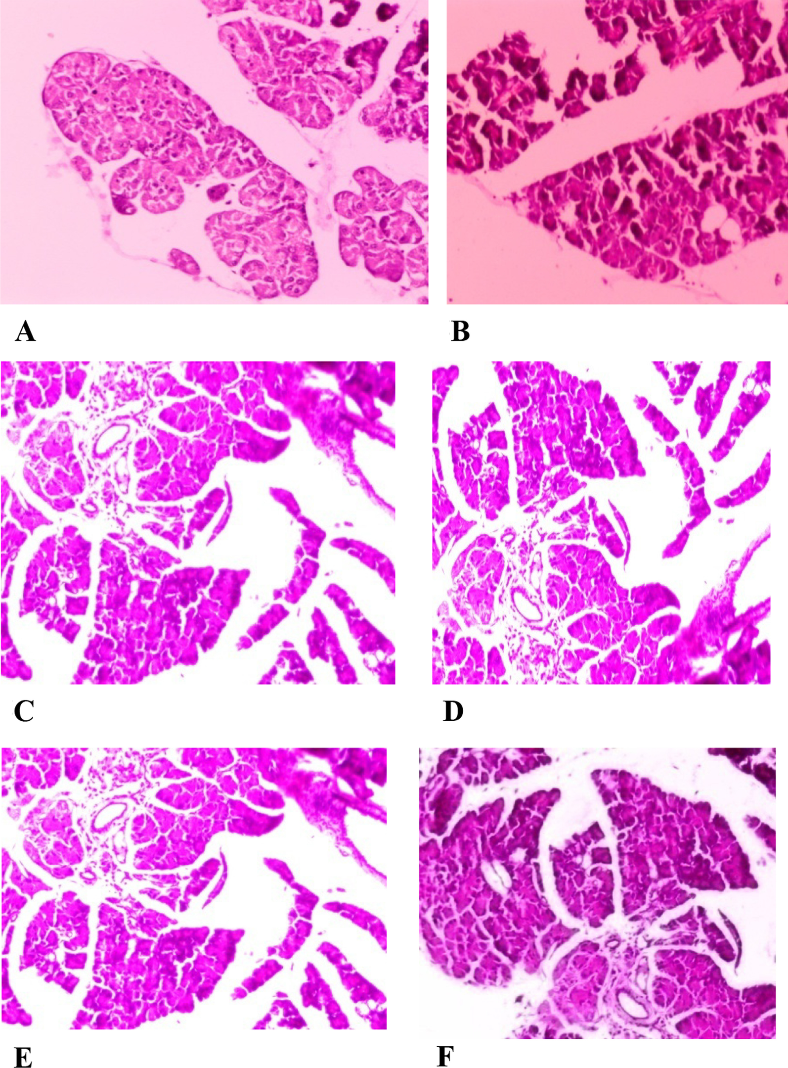 Fig. 15