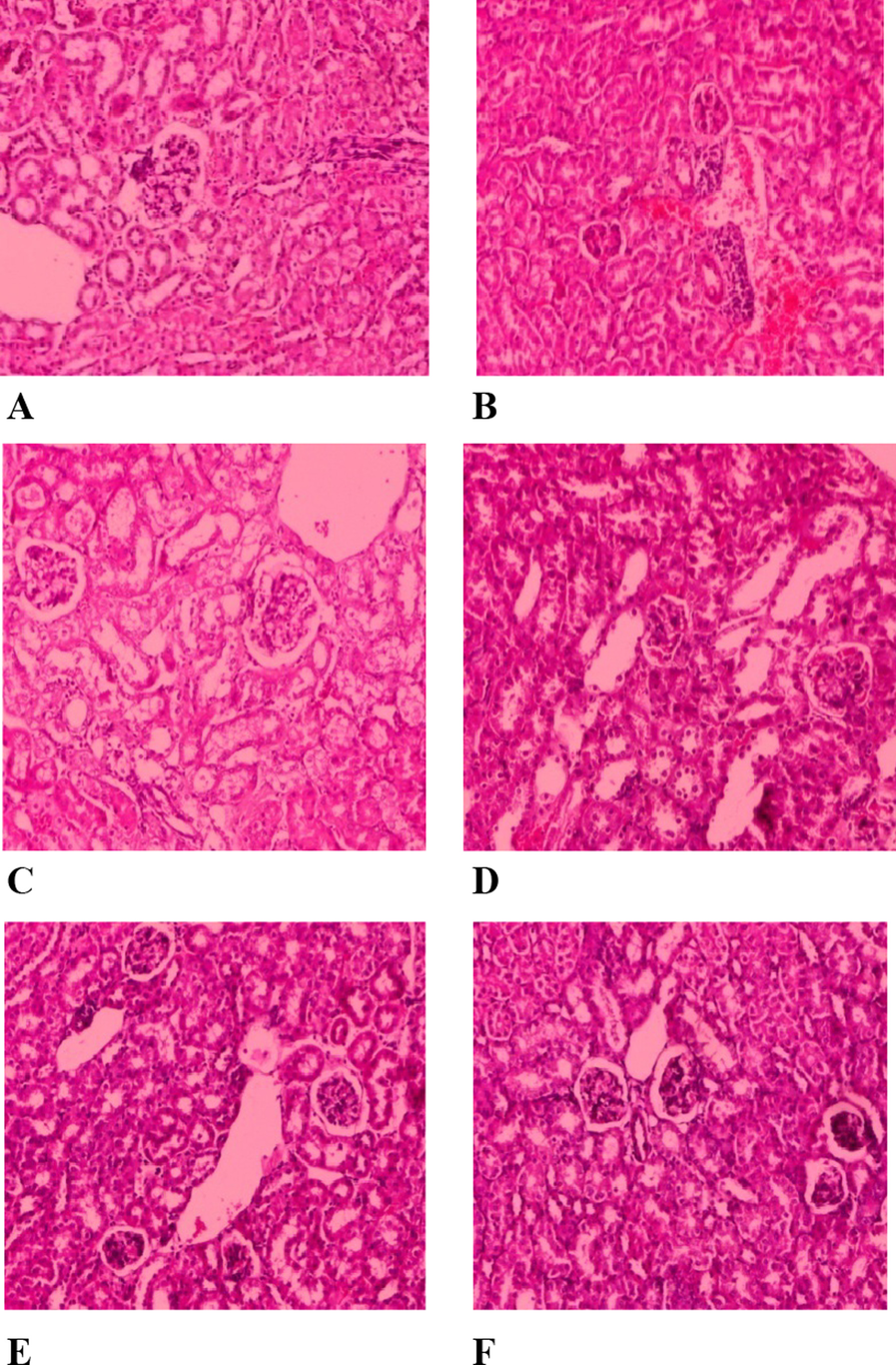 Fig. 17