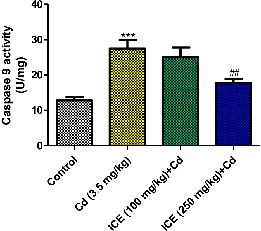 Fig. 12