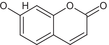 Fig.  8