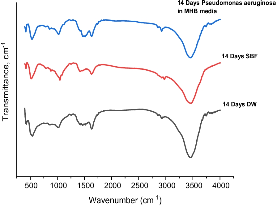 Fig. 10