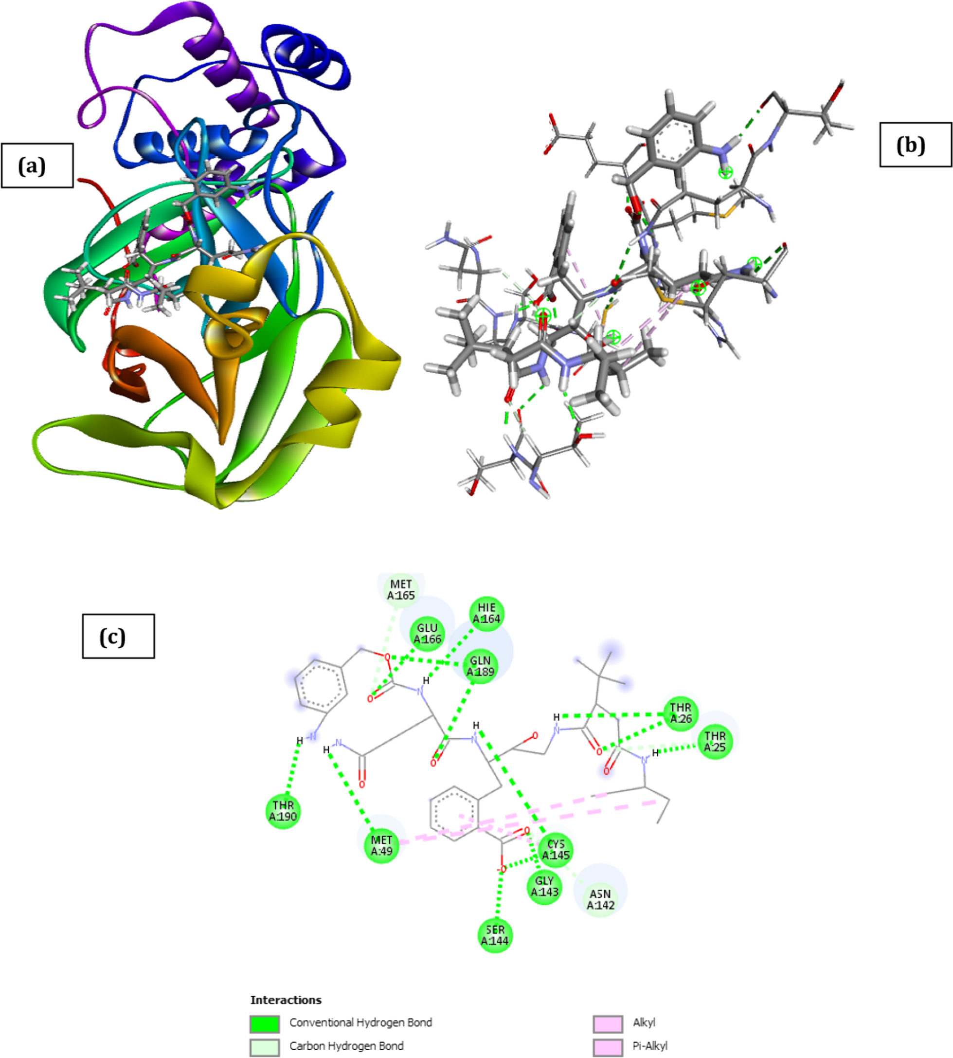 Fig. 10