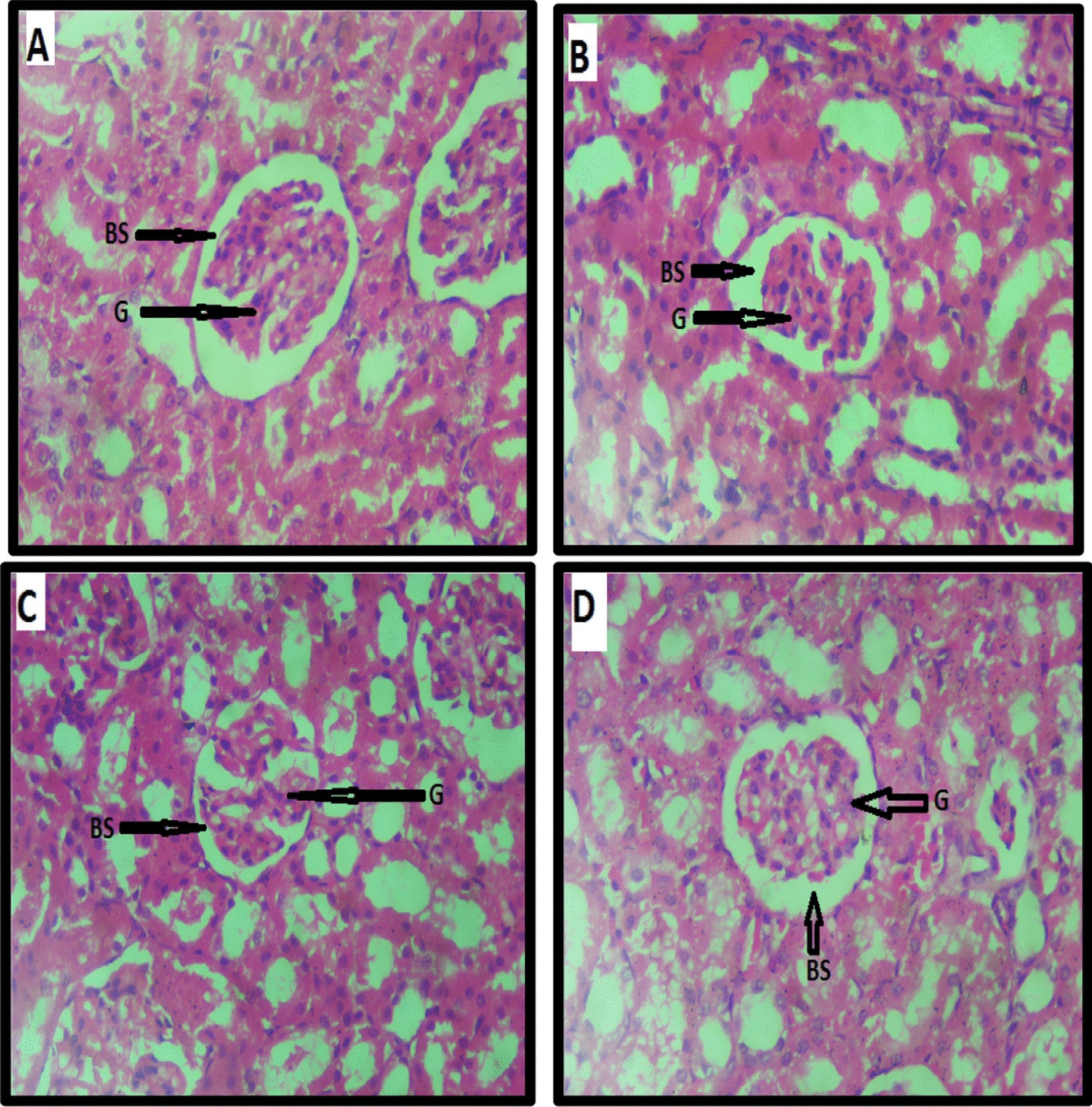 Fig. 5