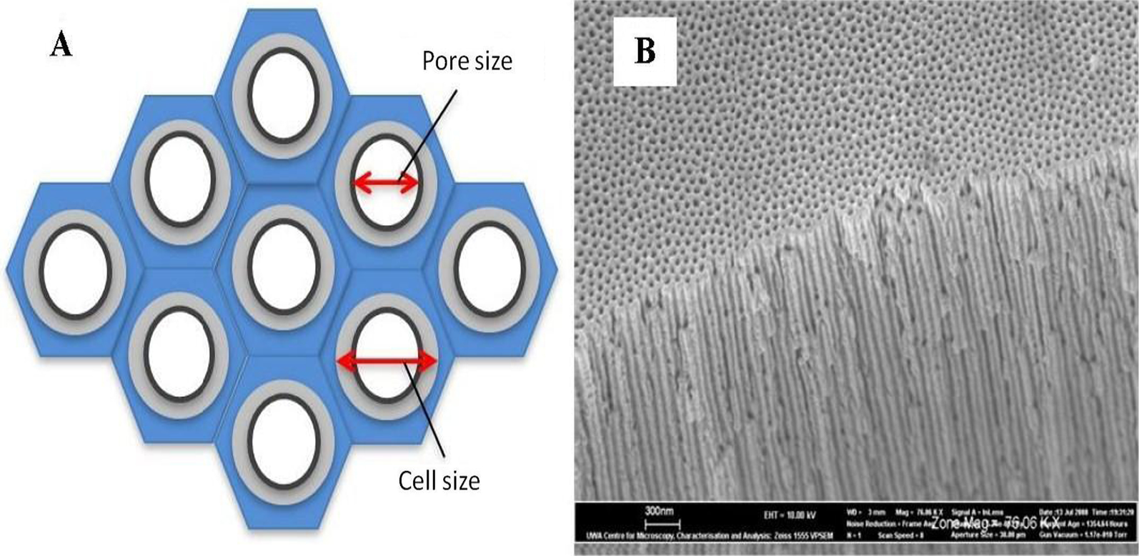 Fig. 8