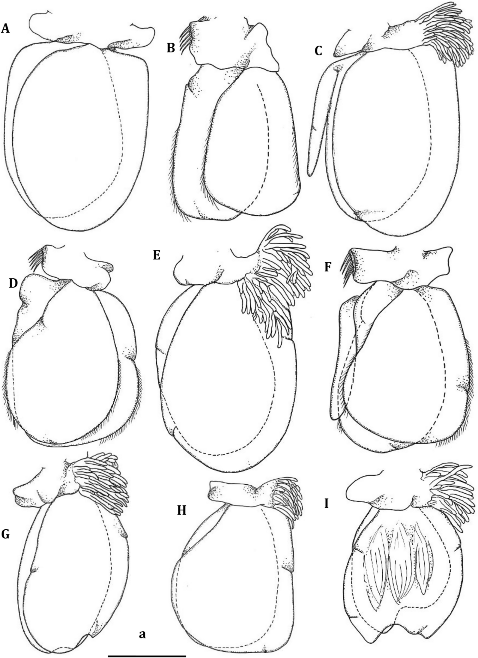 Fig. 6