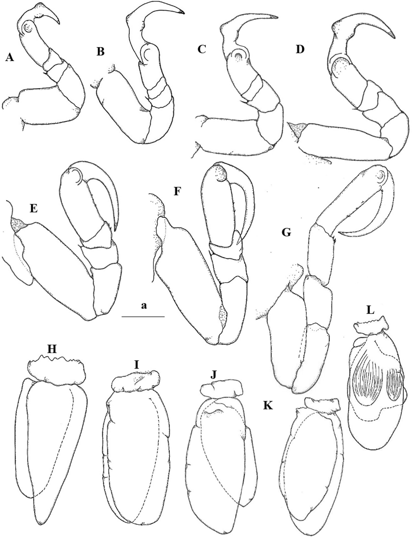 Fig. 9